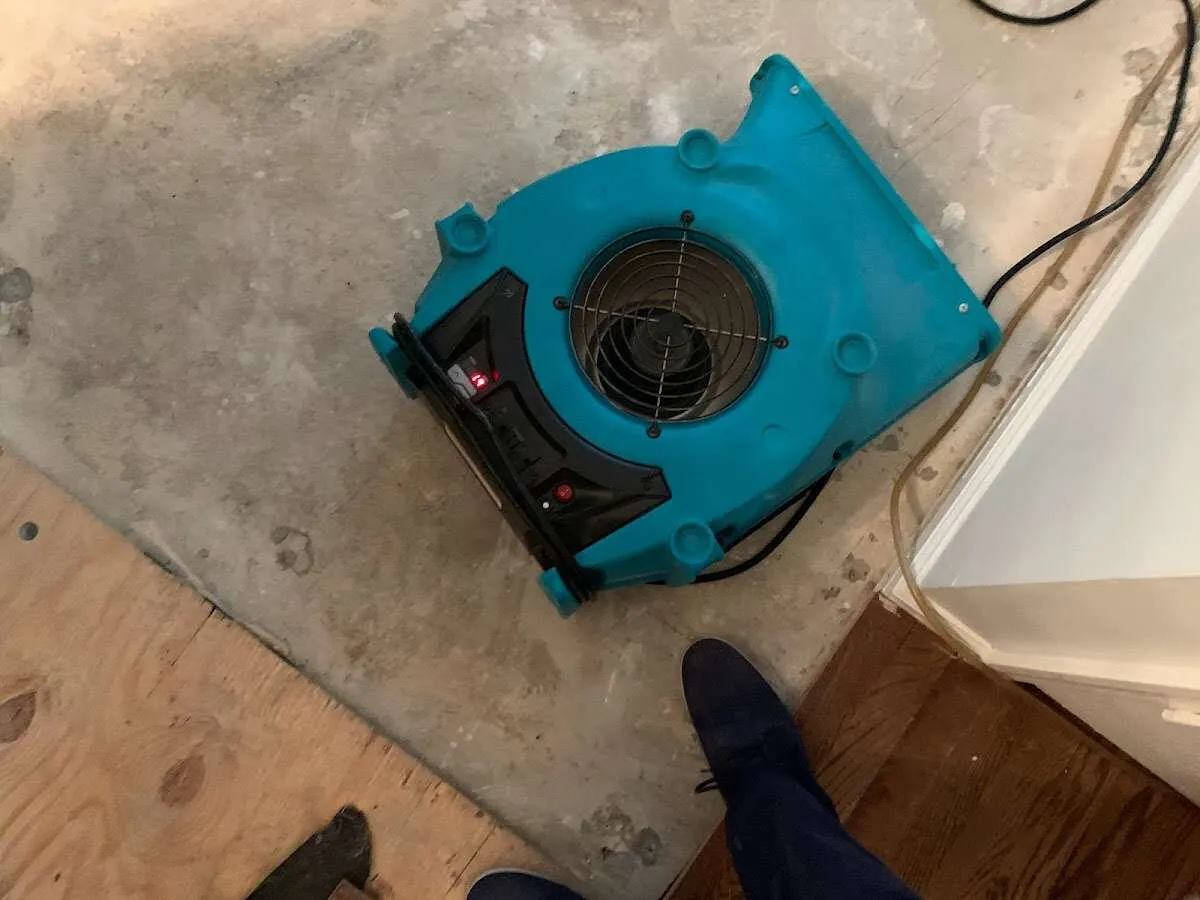Air mover drying subfloor during Leak Detection & Repair in Lake Goodwin